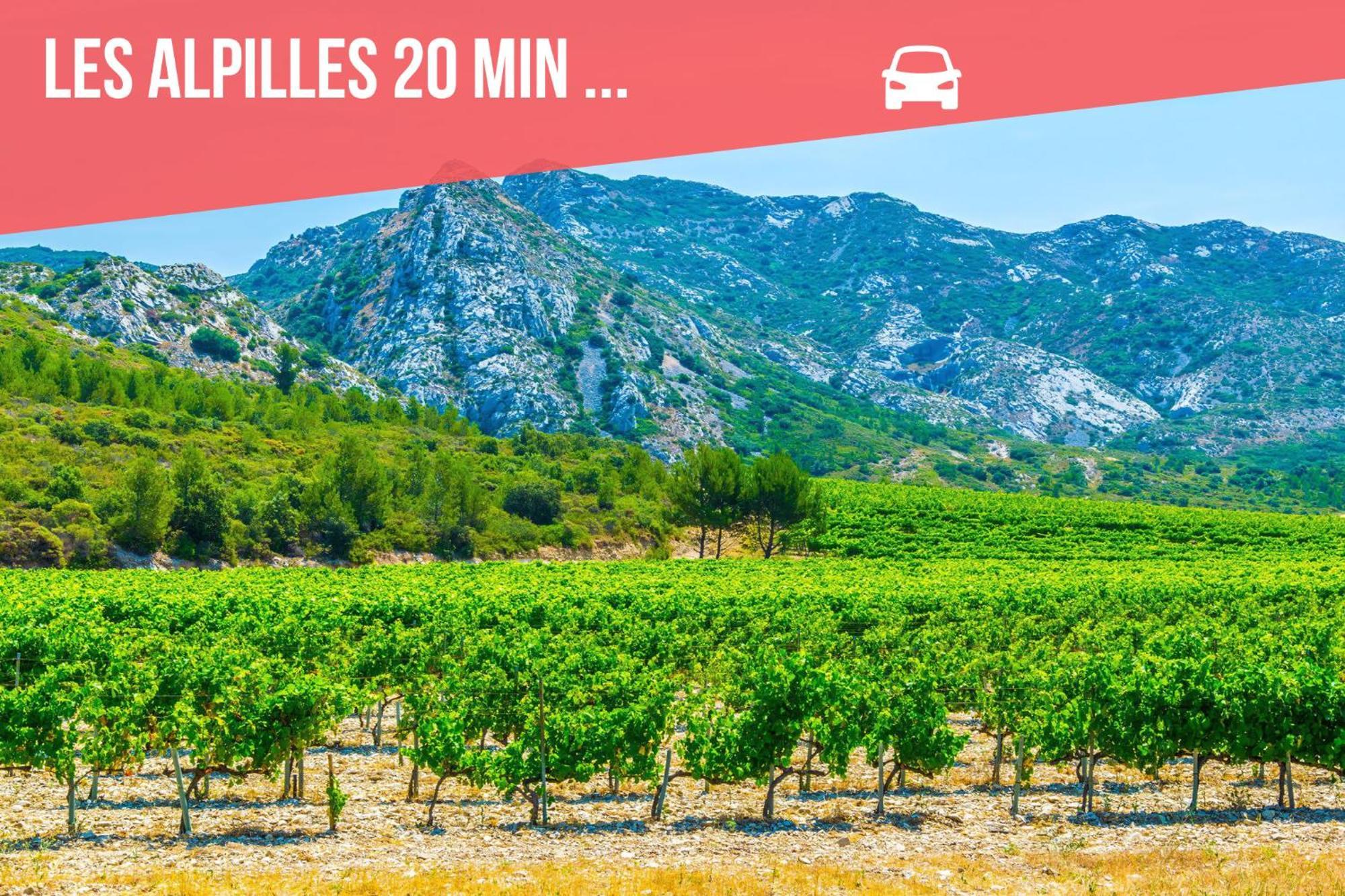 Succes - Tres Beau Duplex- Coeur D'Arles- Climatisation Lejlighed Eksteriør billede
